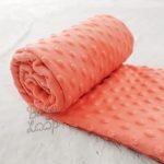 Salmon - Minky