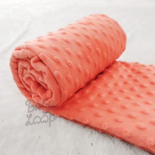 Salmon - Minky