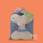 Elephant Ears Minky Riley Peach - Image 2