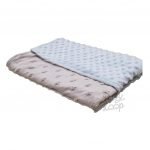 Double Sided Minky Blanket Custom Name Toddler