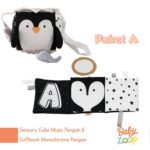 Sensory Toys Package A