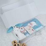 Special Newborn Gift Cute Safari Blue - Baby Loop - BabyLoop - Image 2