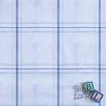 Double Grid Blue - Japanese Cotton
