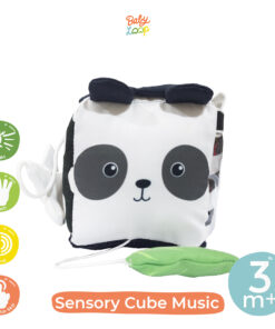 Sensory Cube Music Panda - Mainan Sensori - Baby Loop